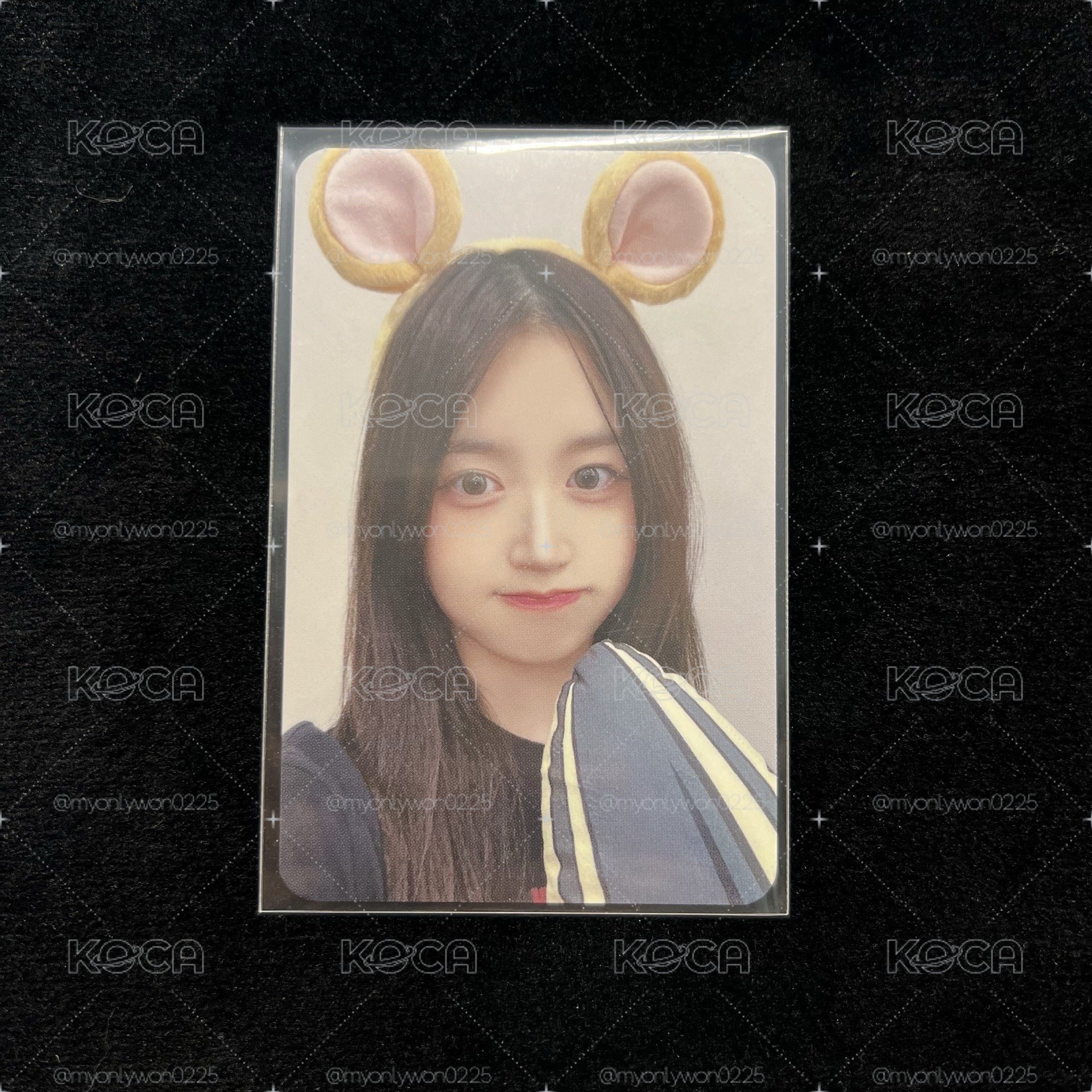 🐻‍❄️倉鼠嫄🐹