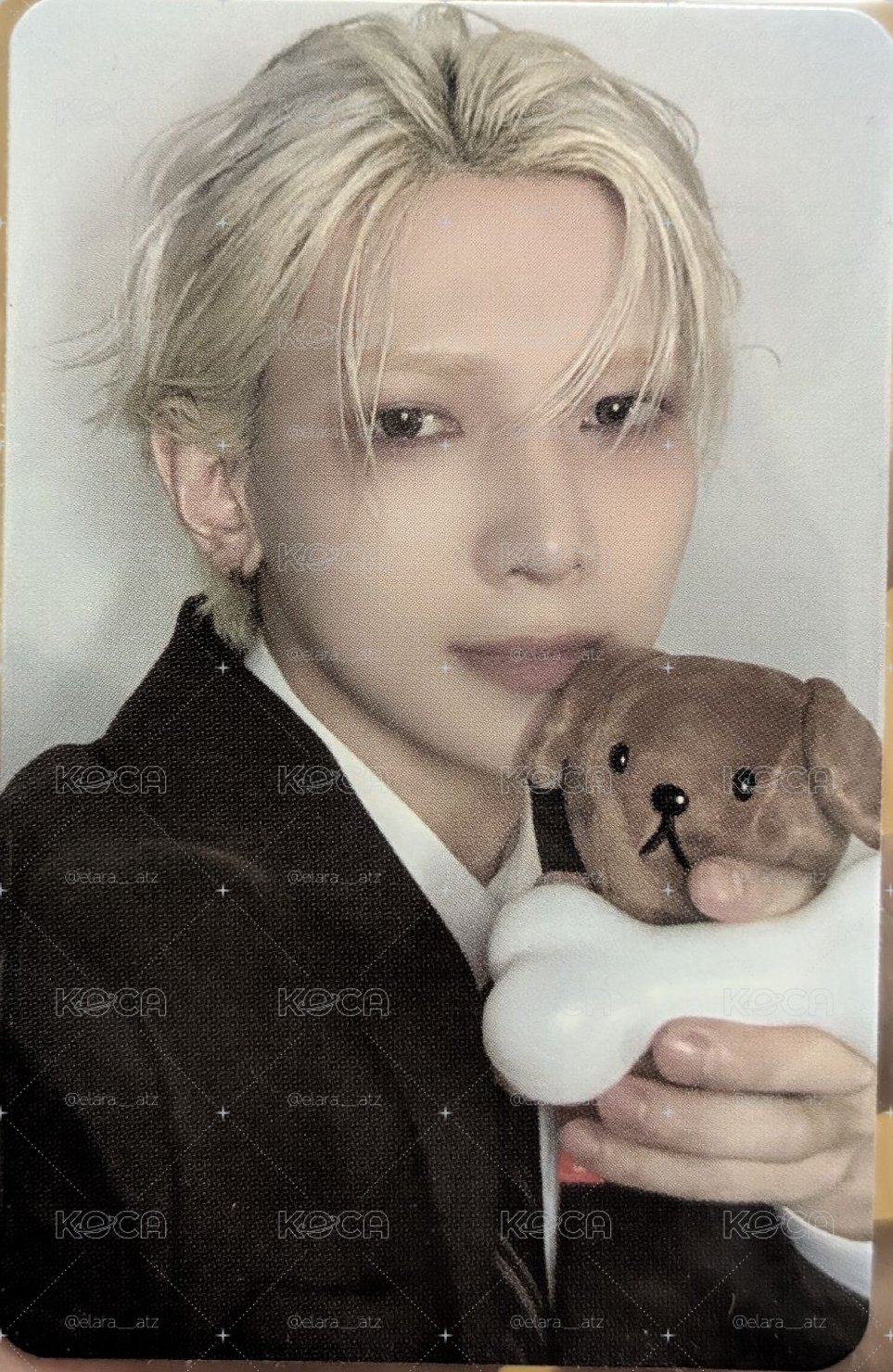 GH4 fromm Puppy 尚特典