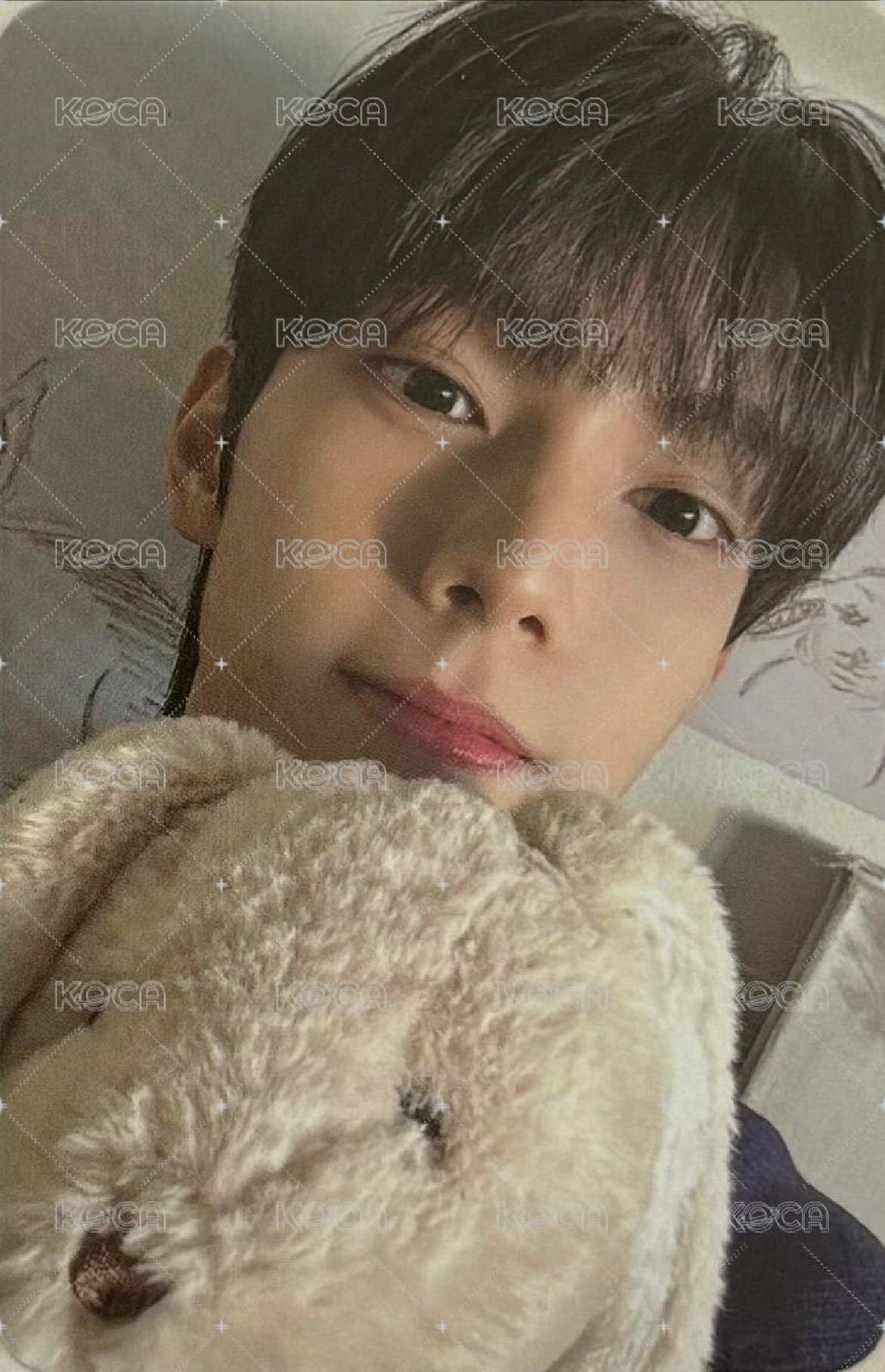 Sweet DREAM 專輯卡