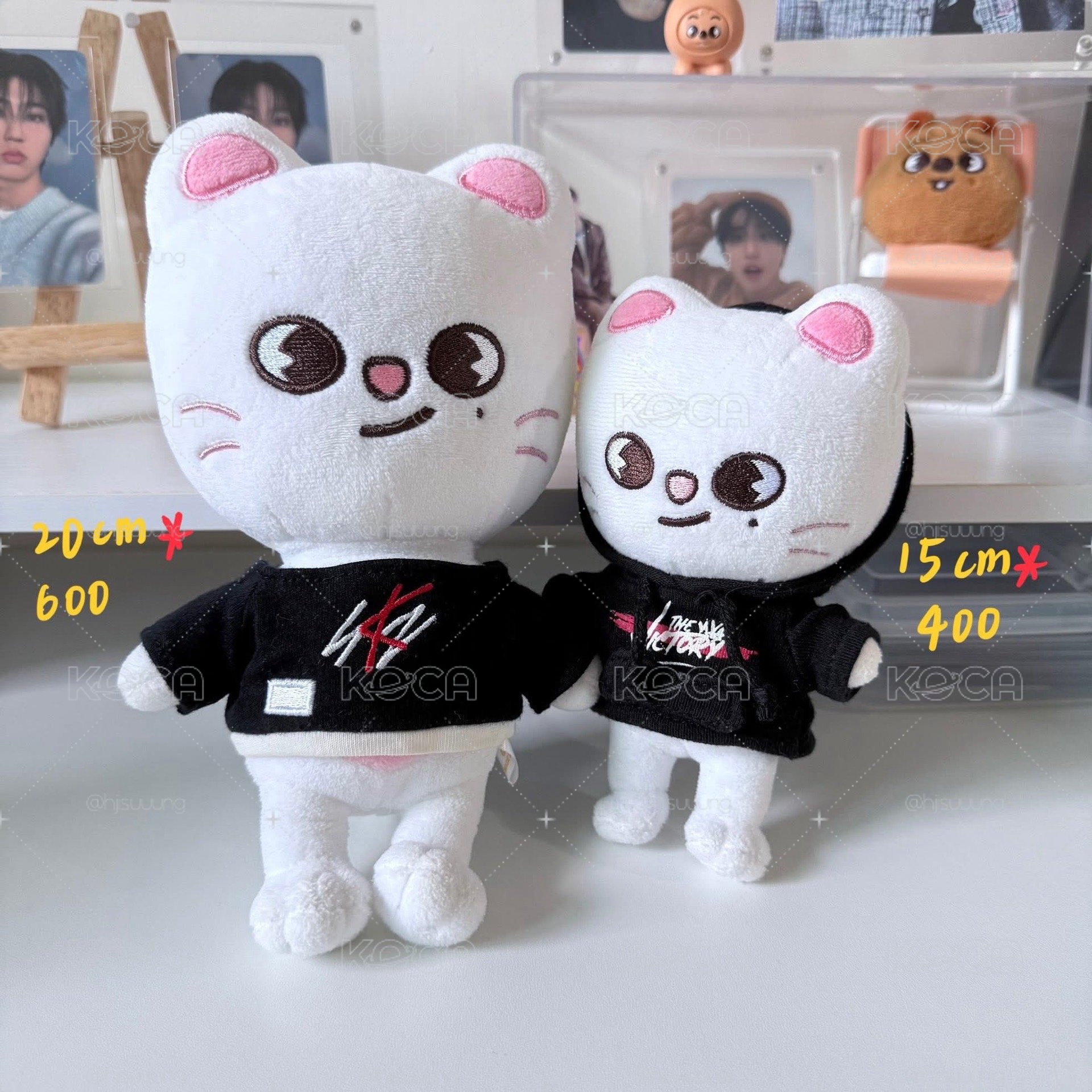 Stray Kids 辰娃