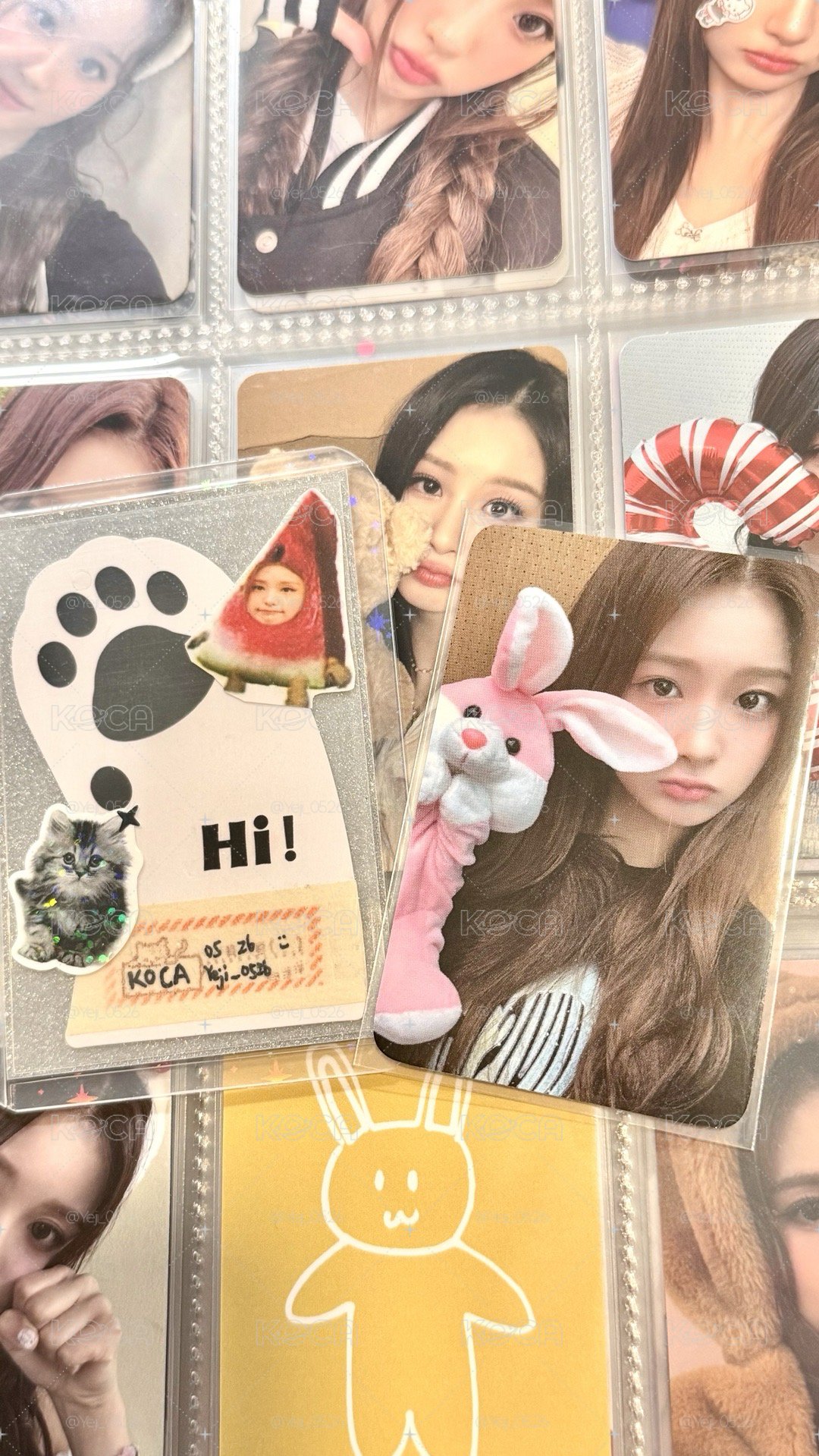 兔子玩偶薛🐰🧸