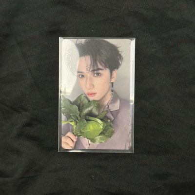 🟦嚴浩翔 六週年演唱會 黑衣拍立得+抱胸+葉子