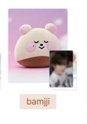 bamjji抱枕+吊飾娃+卡套