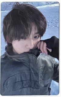 wvs雪地🐷