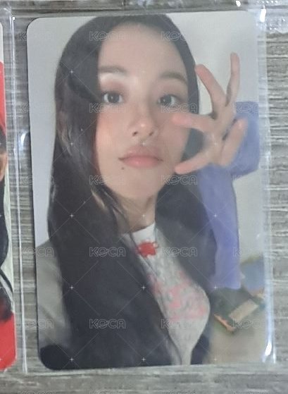 彩瑛am