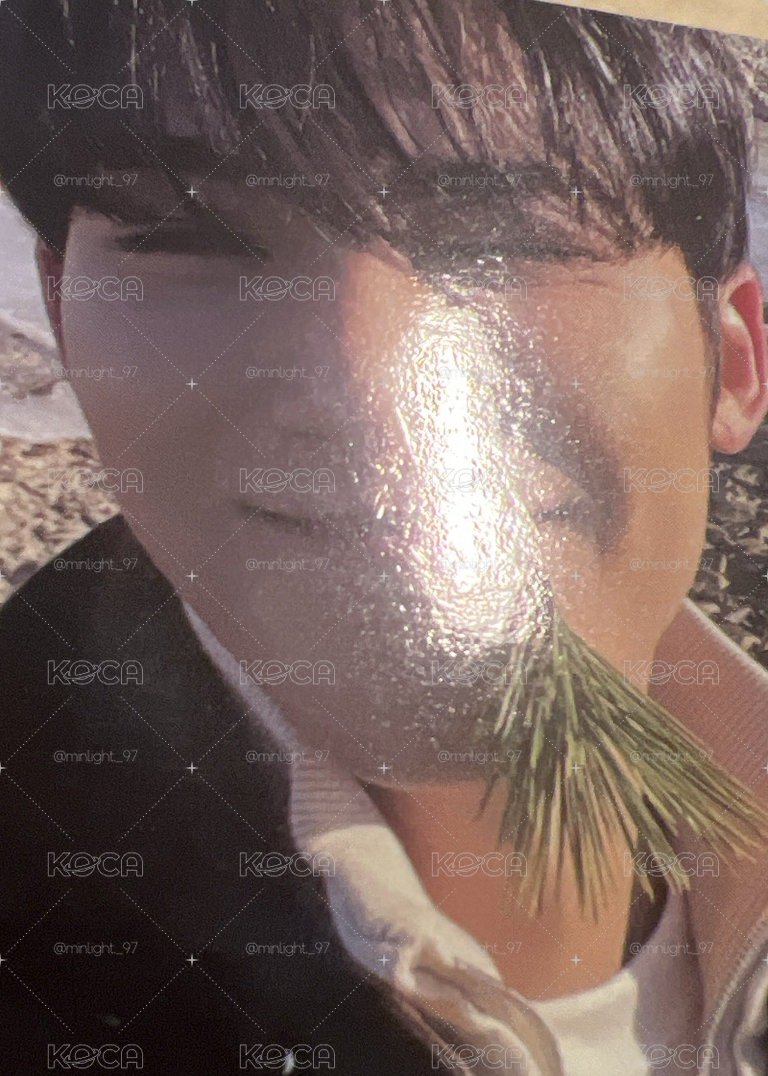 正規四 咬草奎+頂草奎