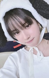 S 打歌卡 狗耳