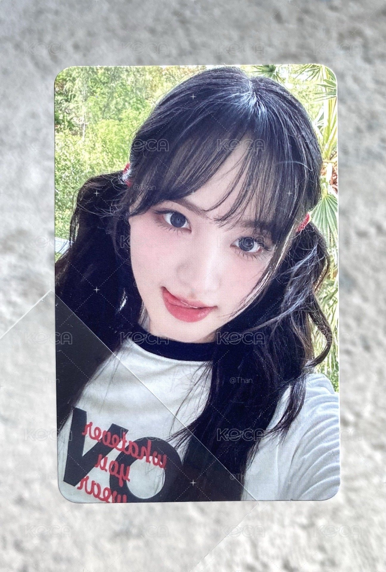夏日船特栗