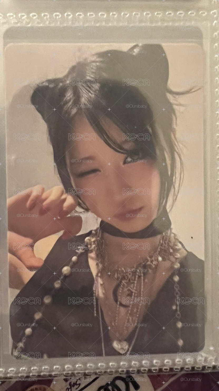 直出。二週年特典。貓貓Asa 🐱