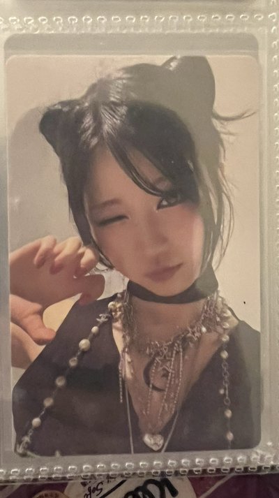 直出。二週年特典。貓貓Asa 🐱