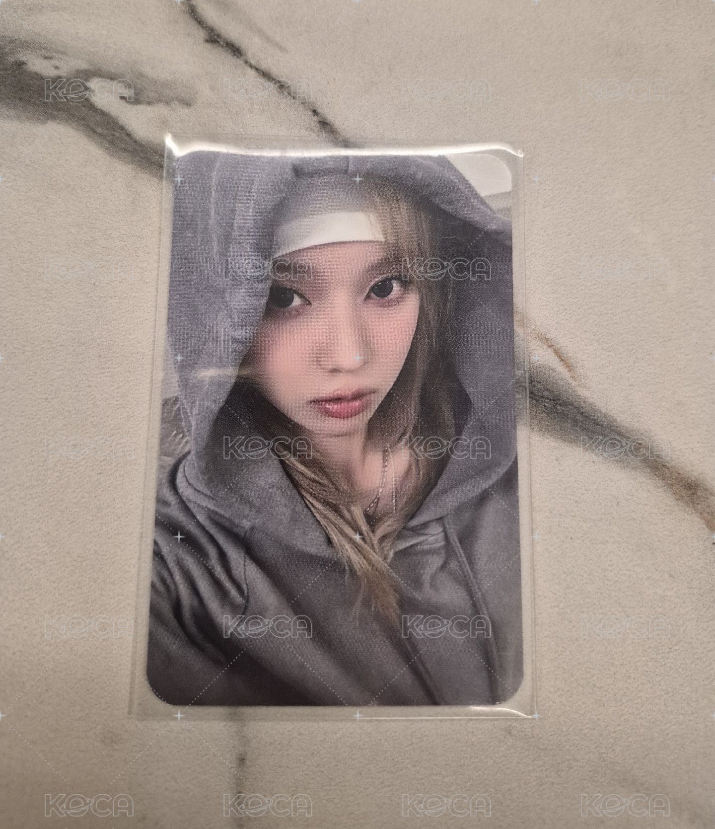 帽t冬