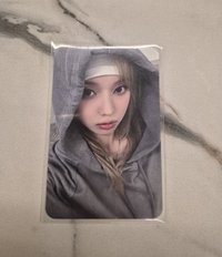 帽t冬