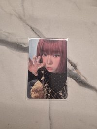 貓抓冬