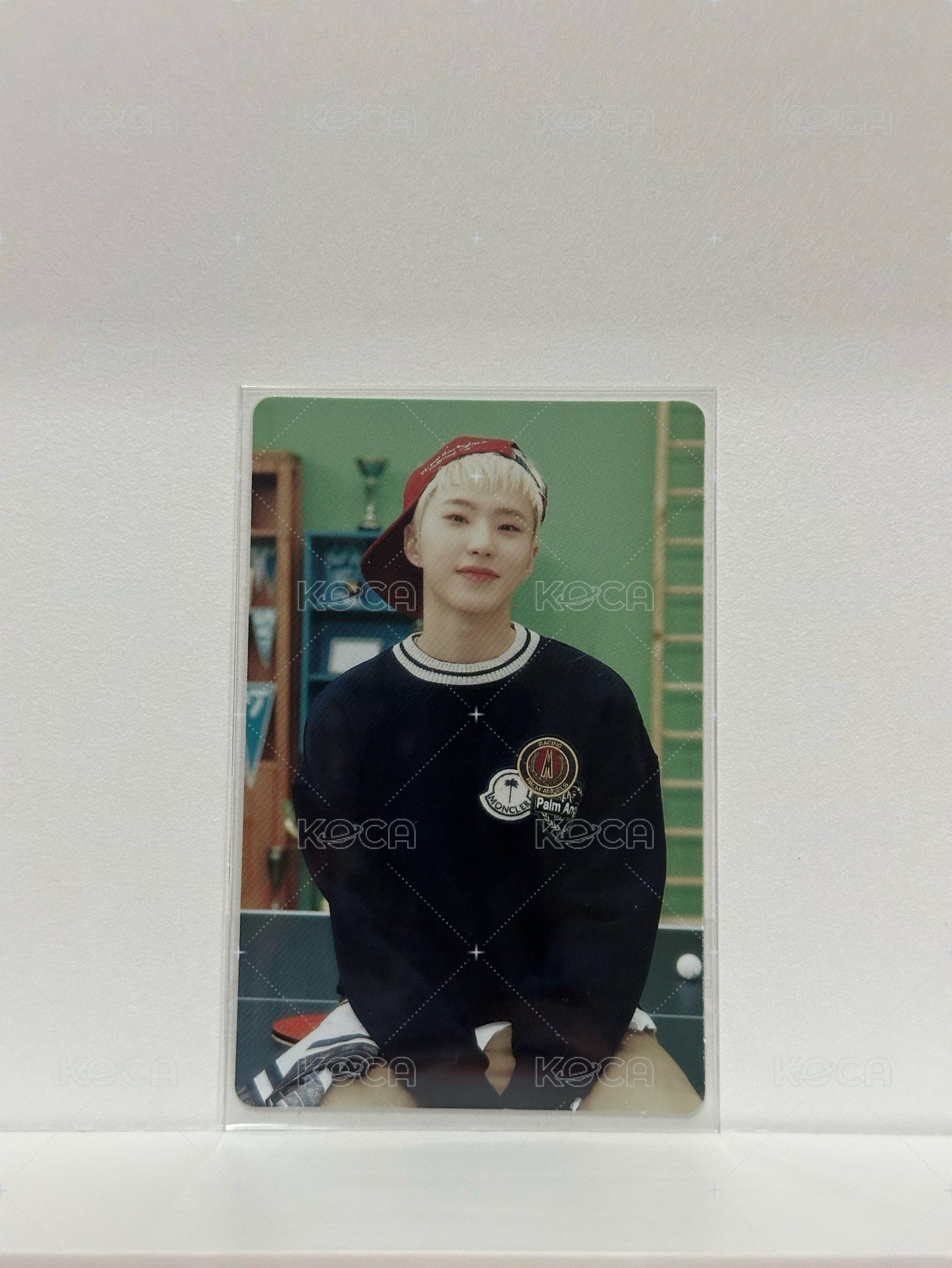 Hoshi 1