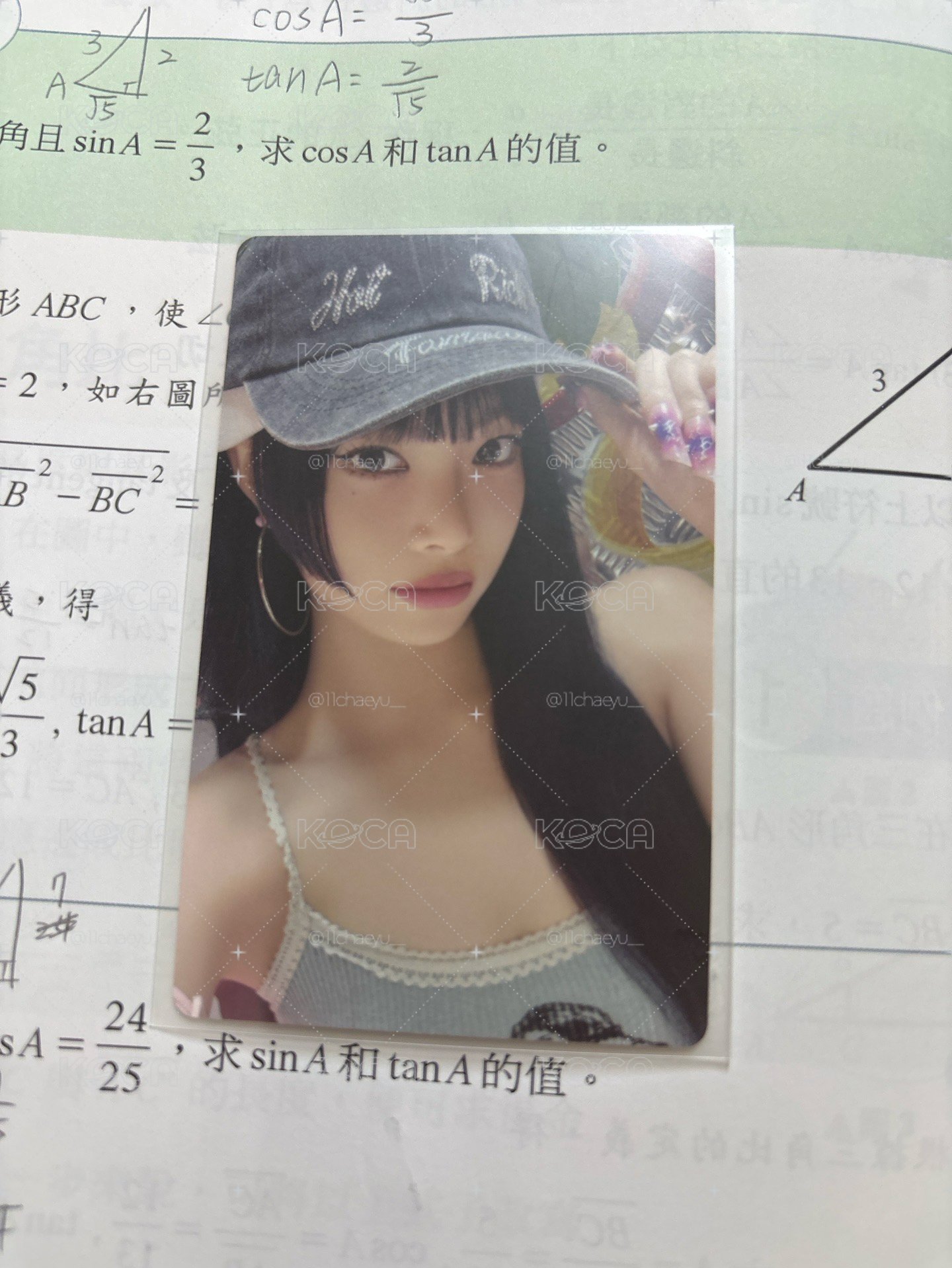 wvs預售