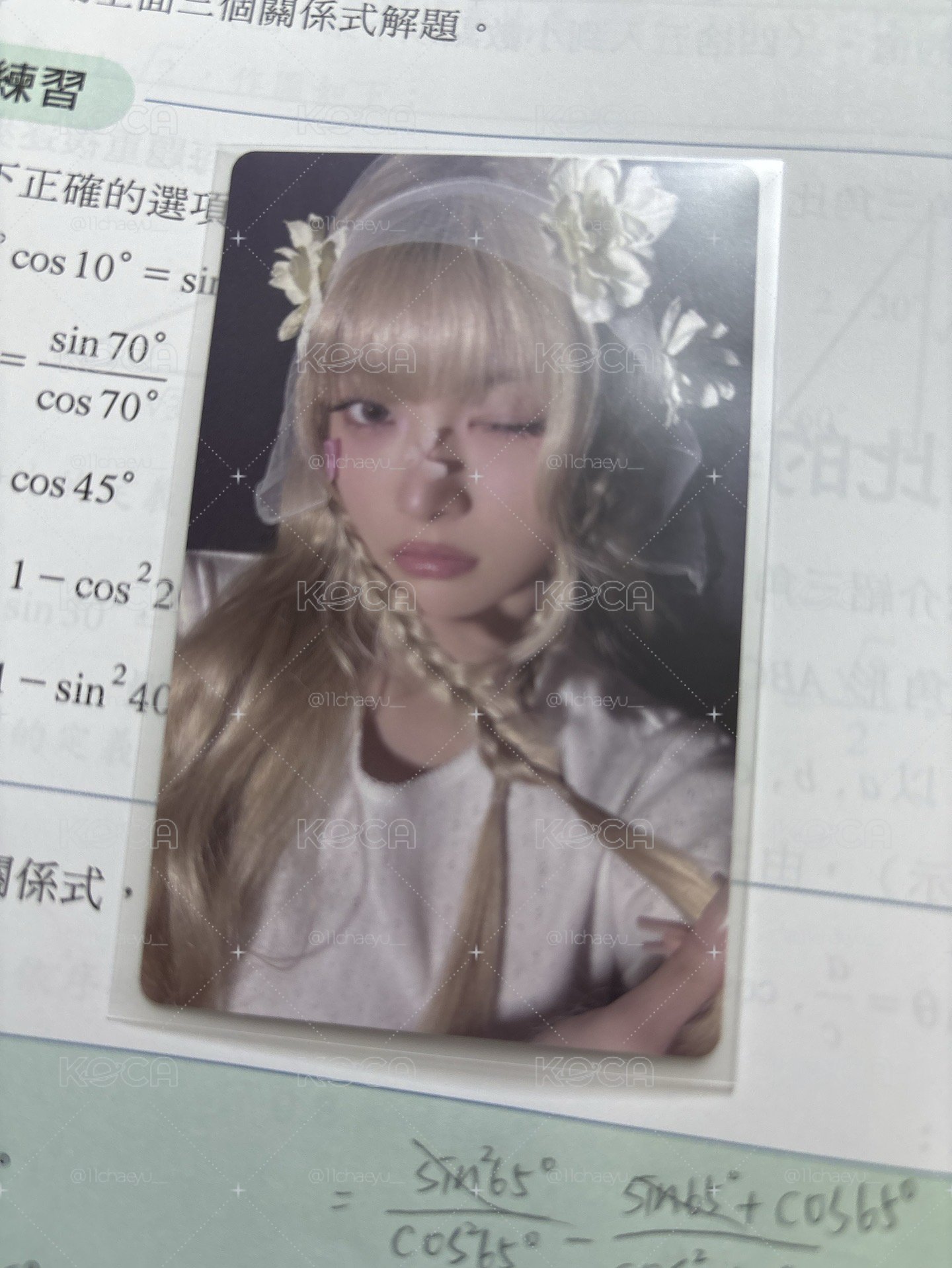 wvs簽售