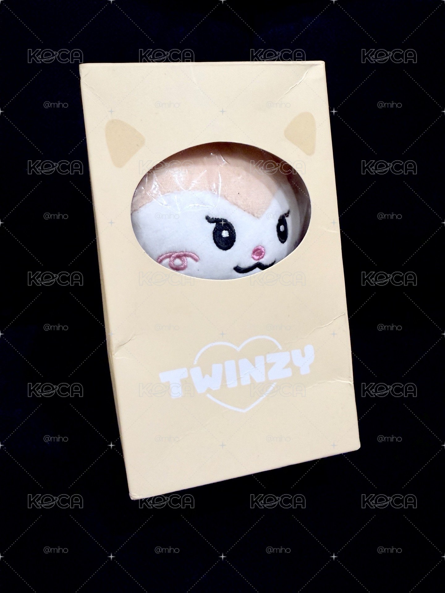 TWINZY 領小娃