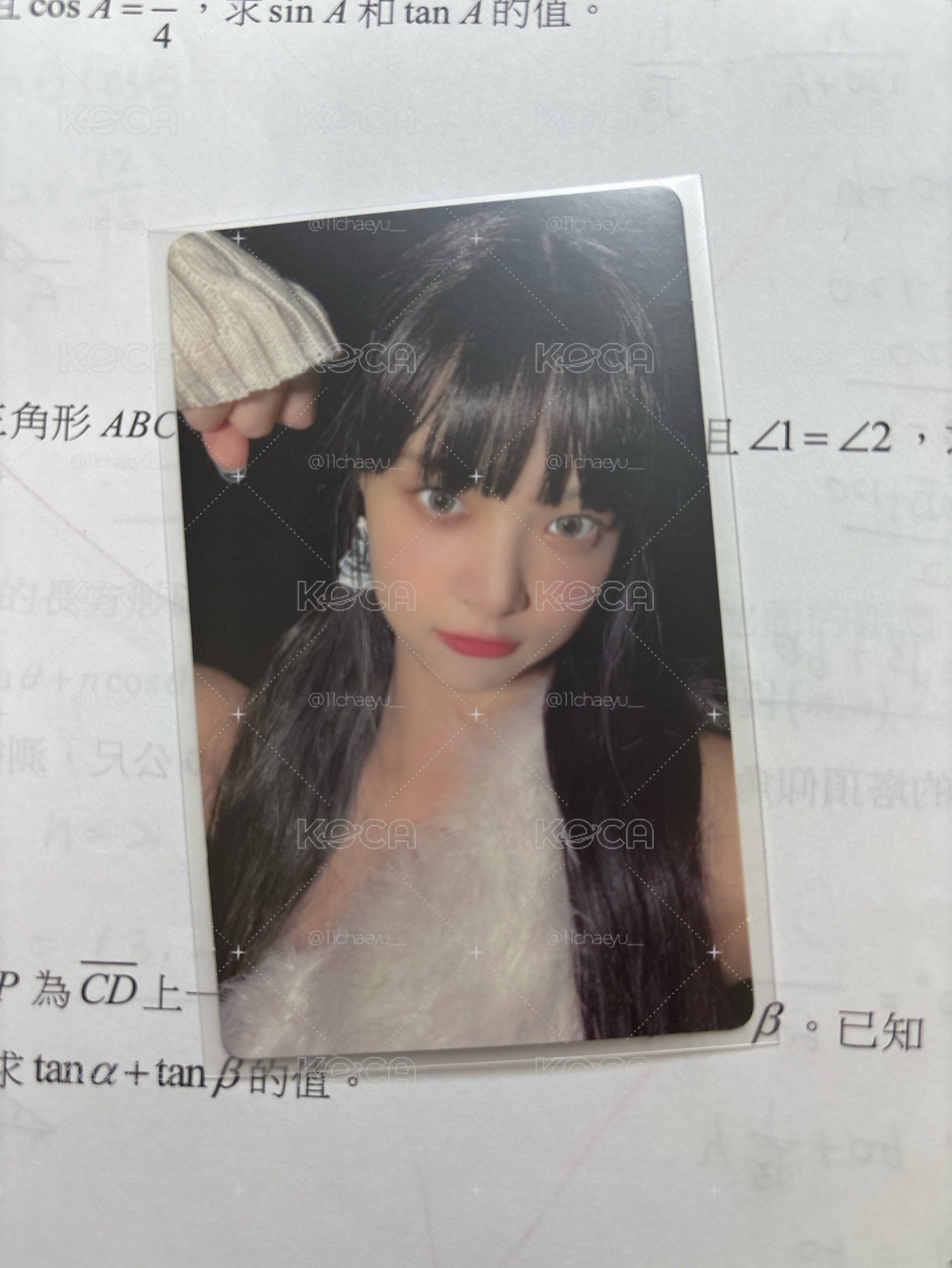 ANTIFRAGILE wvs 2.0 簽售卡 