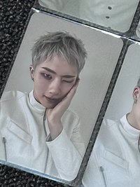 智雄牙敗