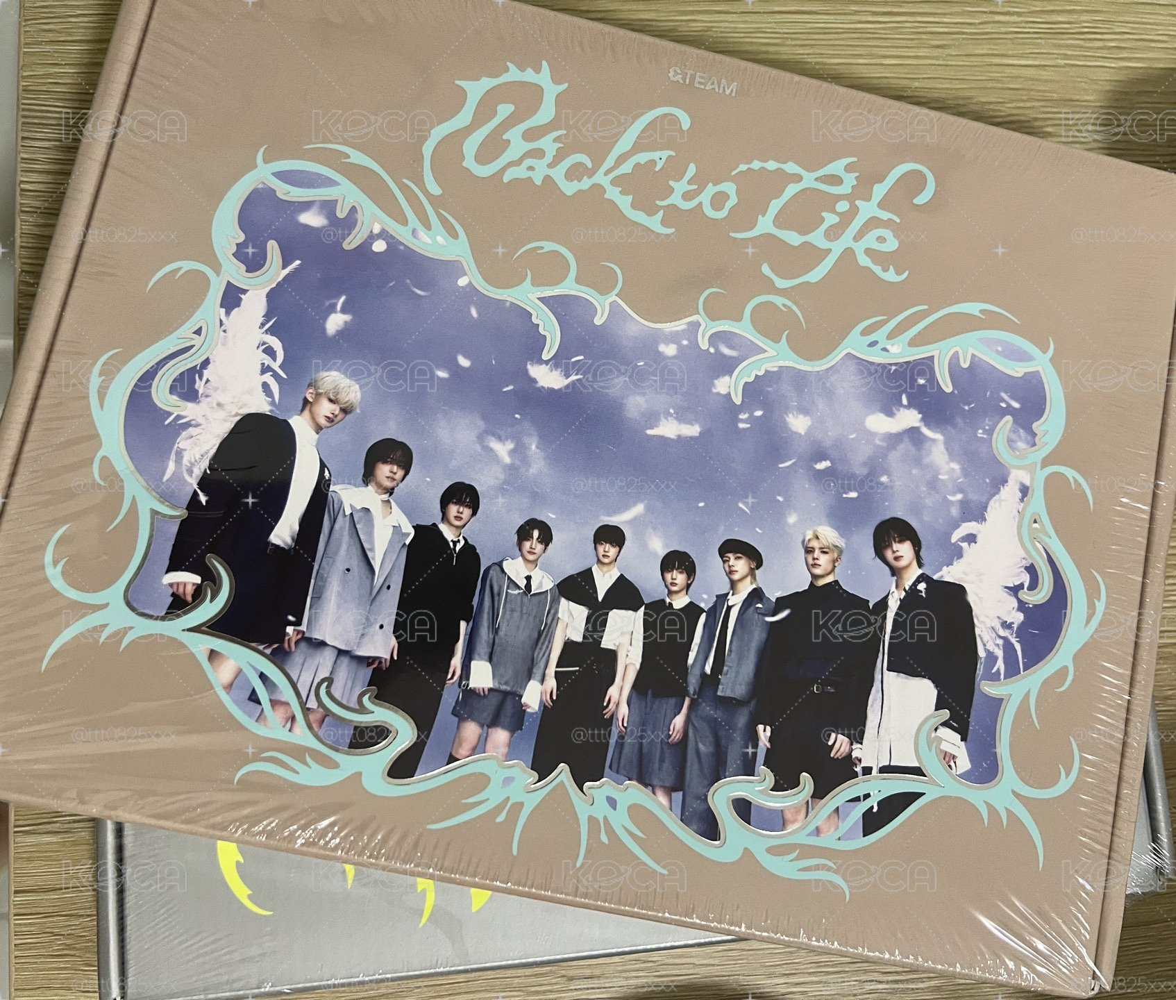 &team back to life 迷一 未拆專 小狼 🐺 