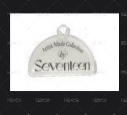 SEVENTEEN 