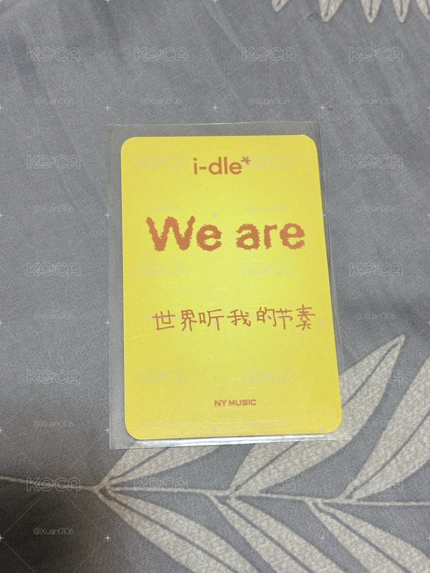 小娟 迷八楠藝 上海線下簽售卡 