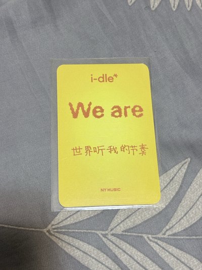 小娟 迷八楠藝 上海線下簽售卡 