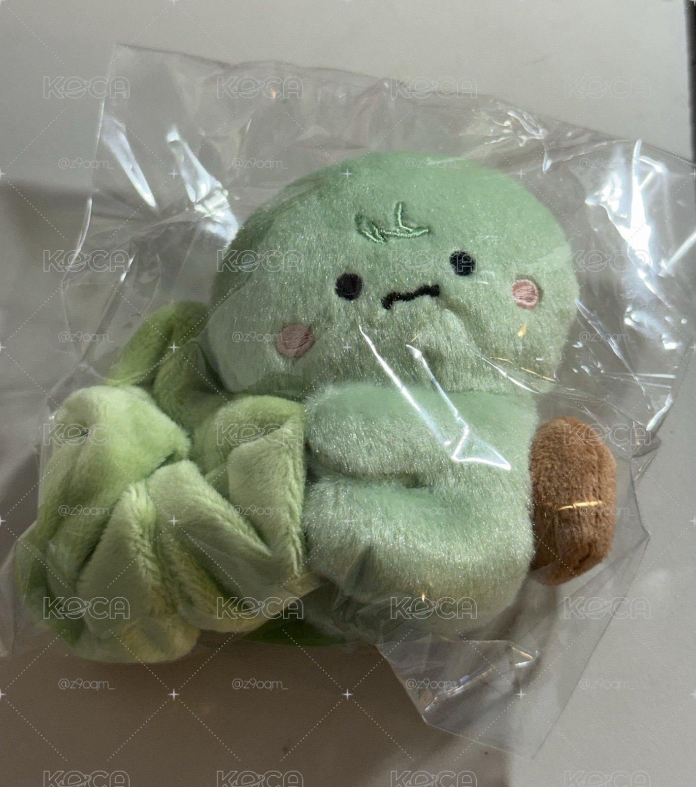 🐢大腸圈