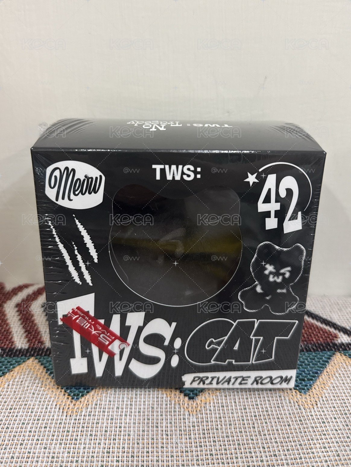 現貨速寄-TWS黑貓專(五大購入)