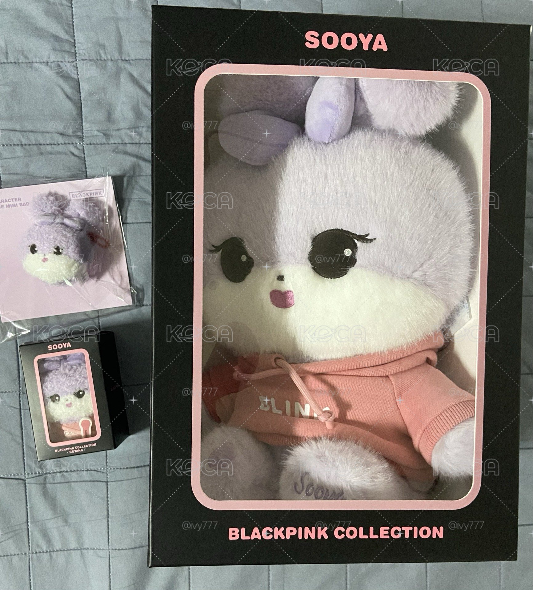 Jisoo 快閃娃 高陽娃 娃娃吊飾，kitty聯名現貨在韓國