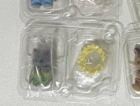 隱藏版灰貓咪
