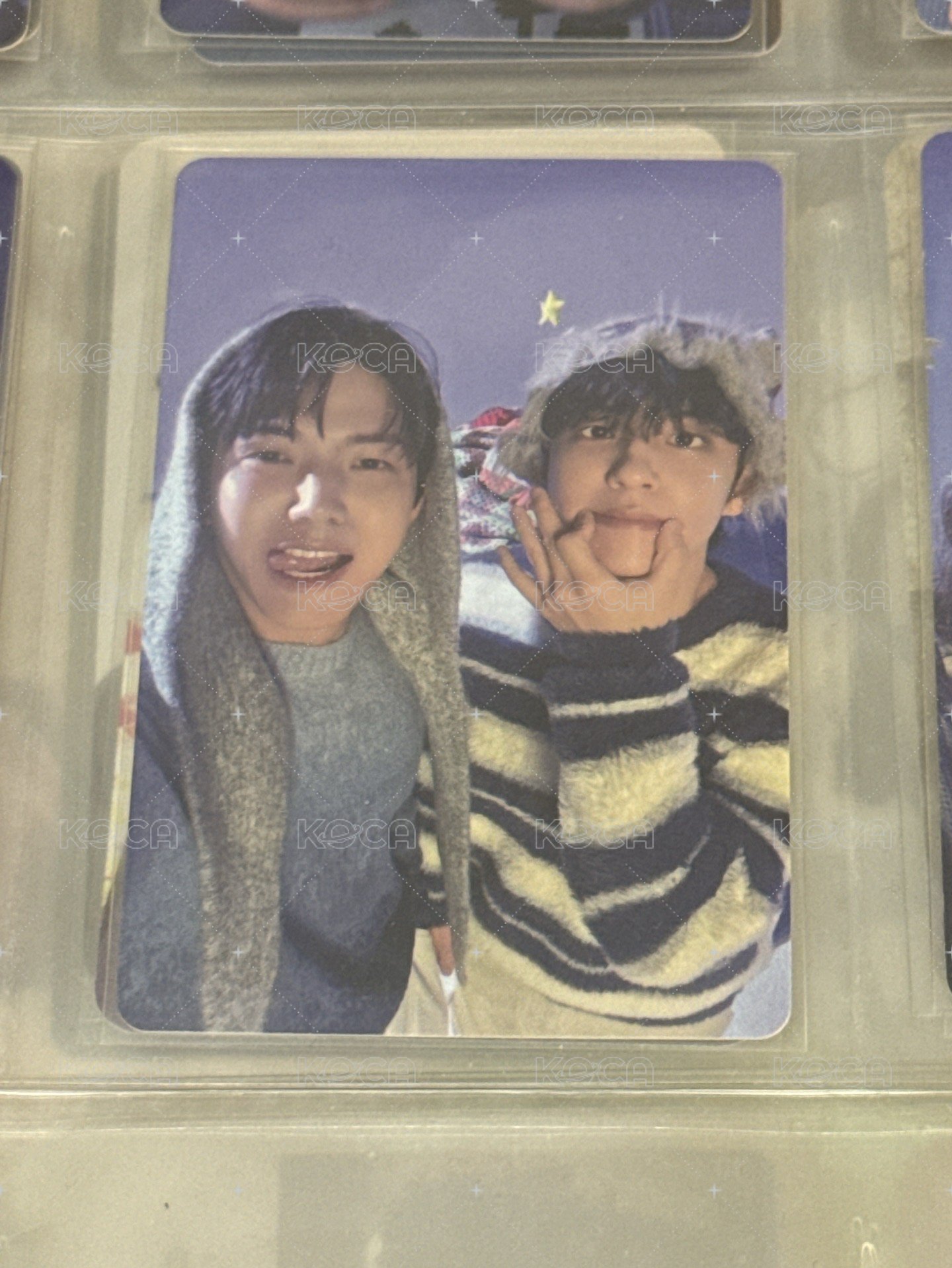 🐰🐶