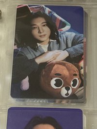 🐻2
