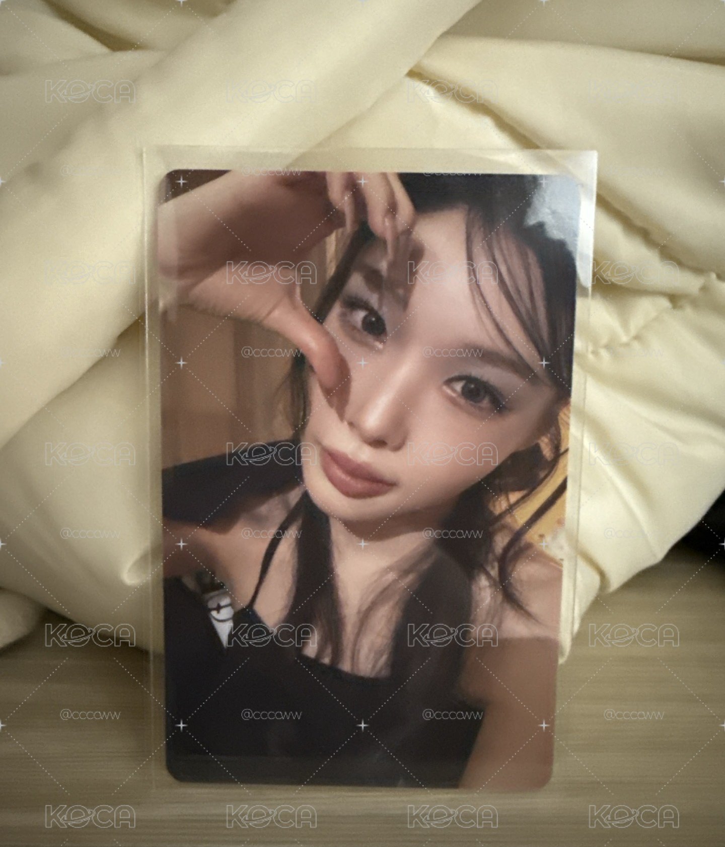 請夏比愛心卡