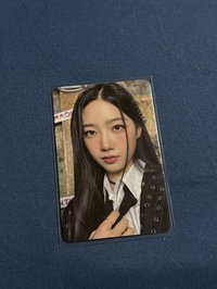 迷二西裝葉
