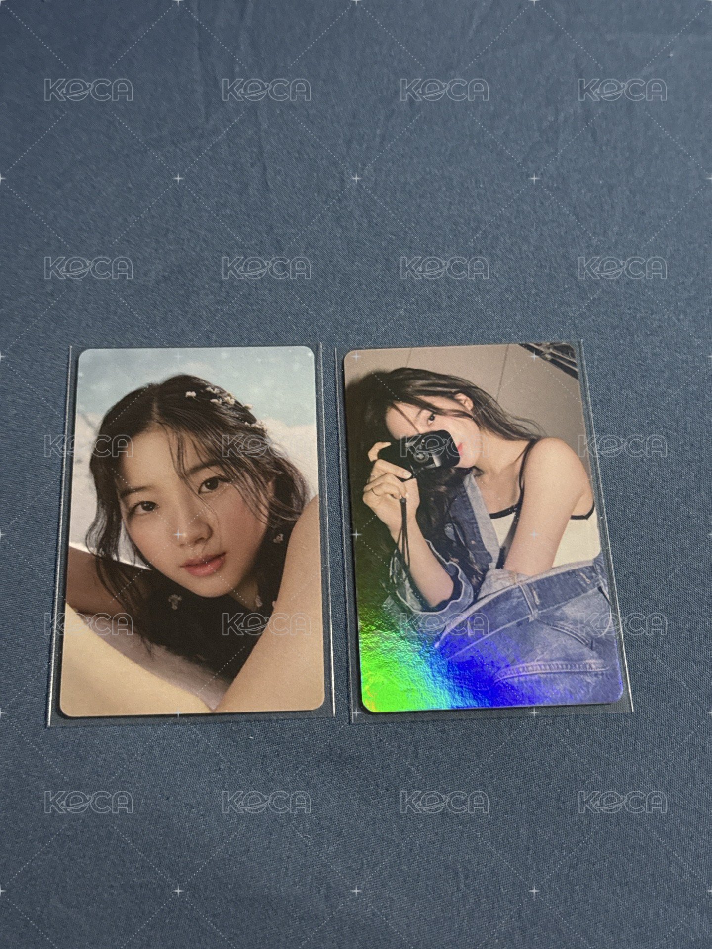 迷二wvs特典葉