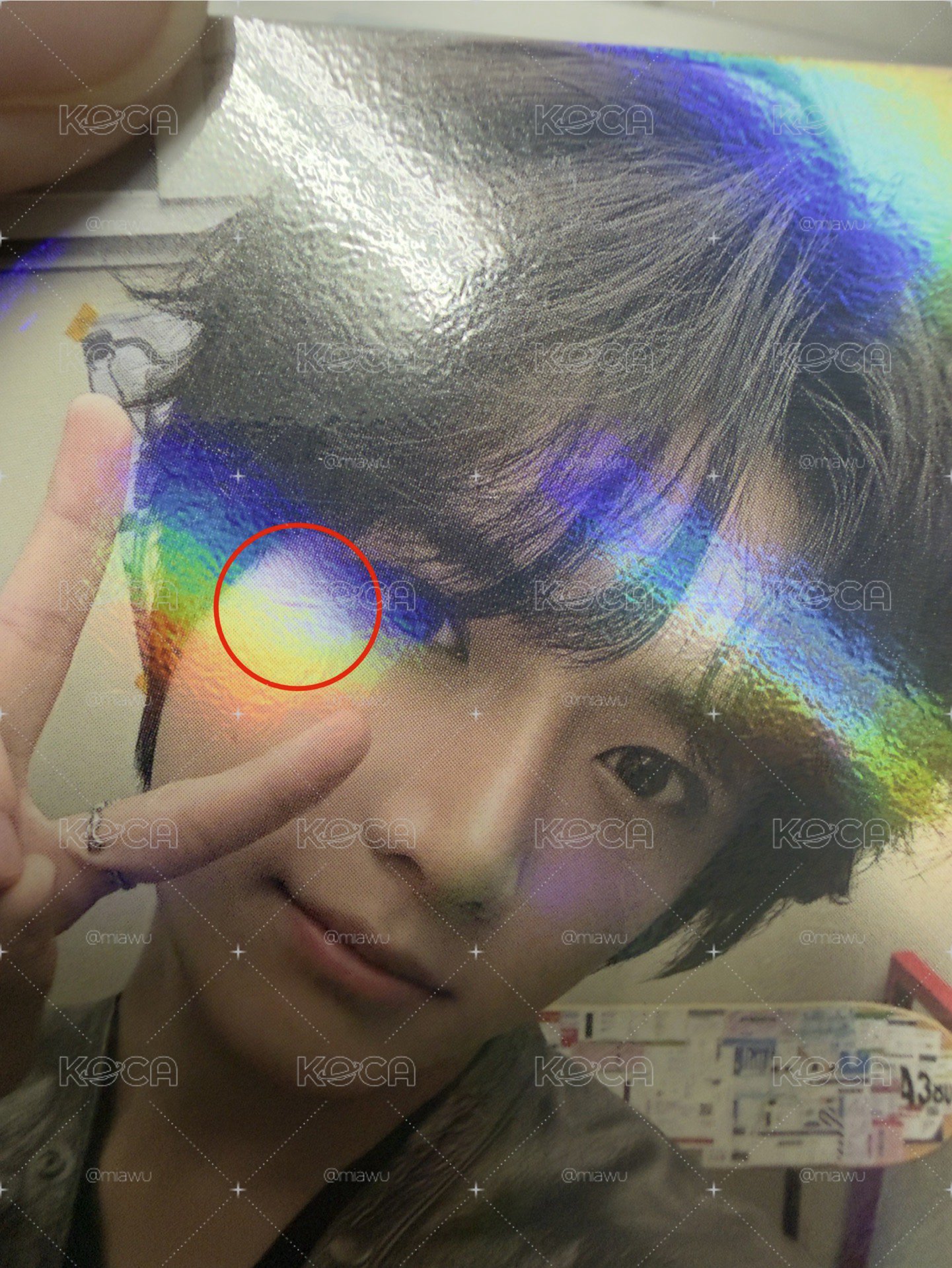 TXT 2026 DOCK IT wvs特典 彬圭寧 一組三張
