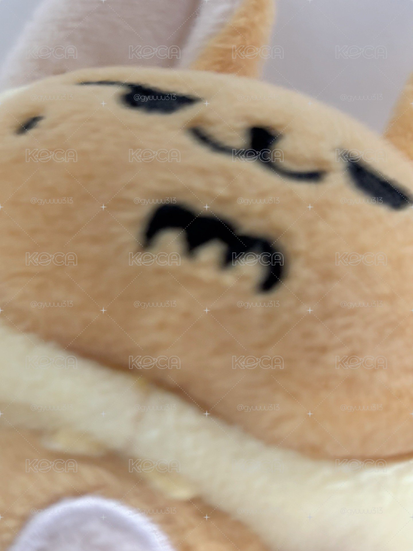原皮春