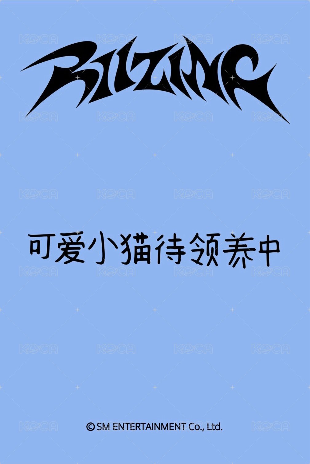 迷一 sr 特典卡  背面