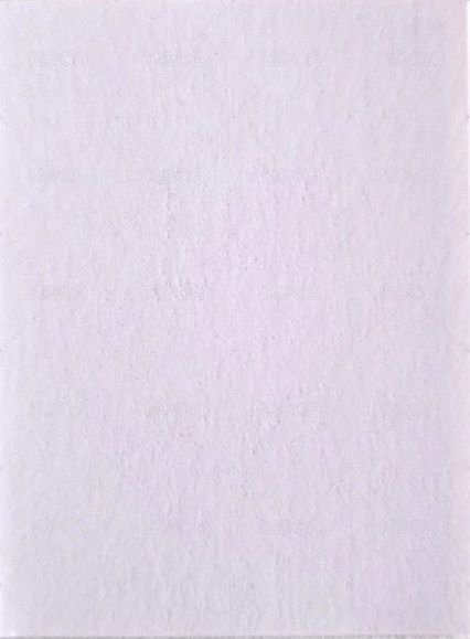 正規一 普版 Blue ver. 專輯卡 證件照 背面