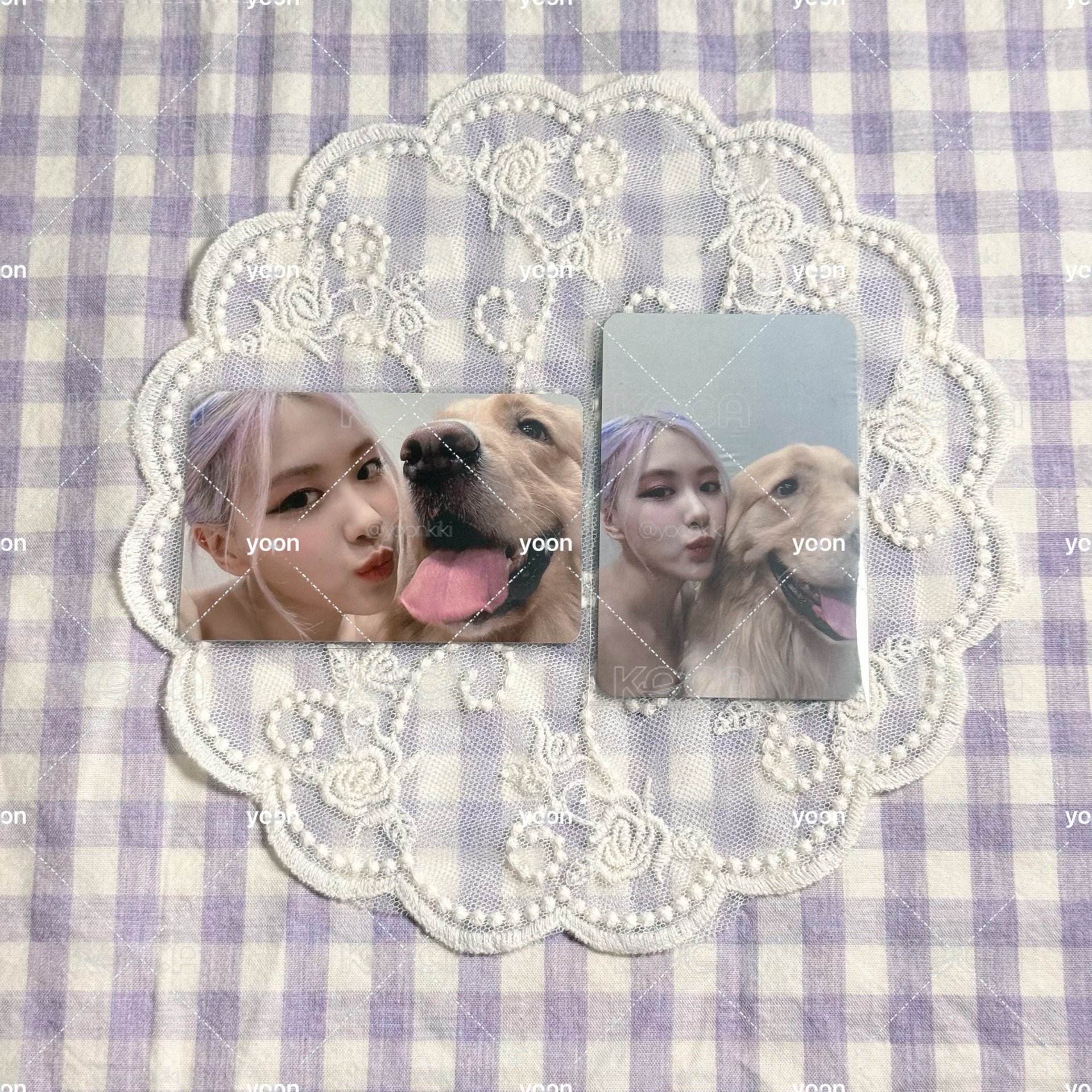 THE ALBUM K4特典 狗狗肉 橫版