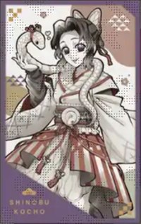 干支 2025巳年（蛇年） 相卡 
