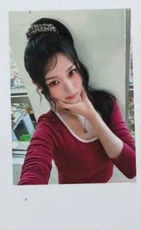 26大隊 專輯卡 Wappen版