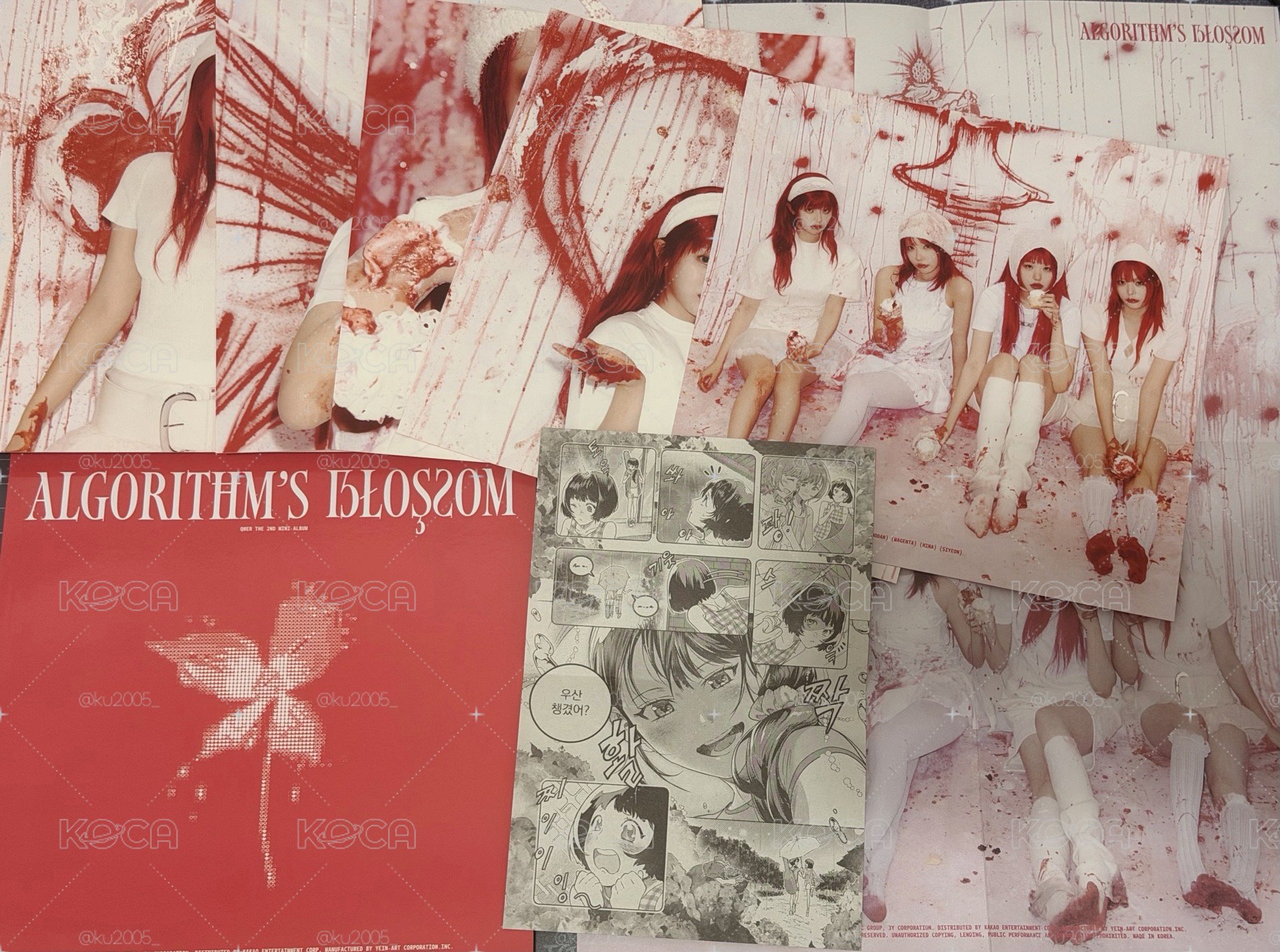 迷二紅磚 已拆無小卡 CD Hina【現貨】