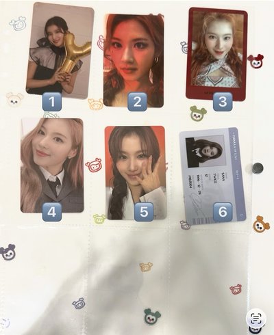SANA小卡🐹