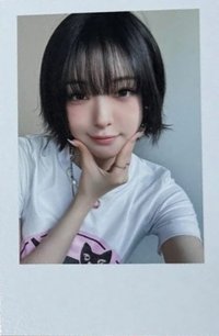26大隊 專輯卡 Wappen版