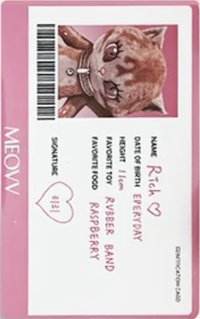 BITE NOW KITTY PLUSH ver. 專輯卡 ID證