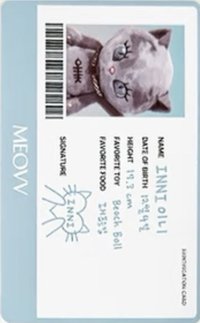 BITE NOW KITTY PLUSH ver. 專輯卡 ID證