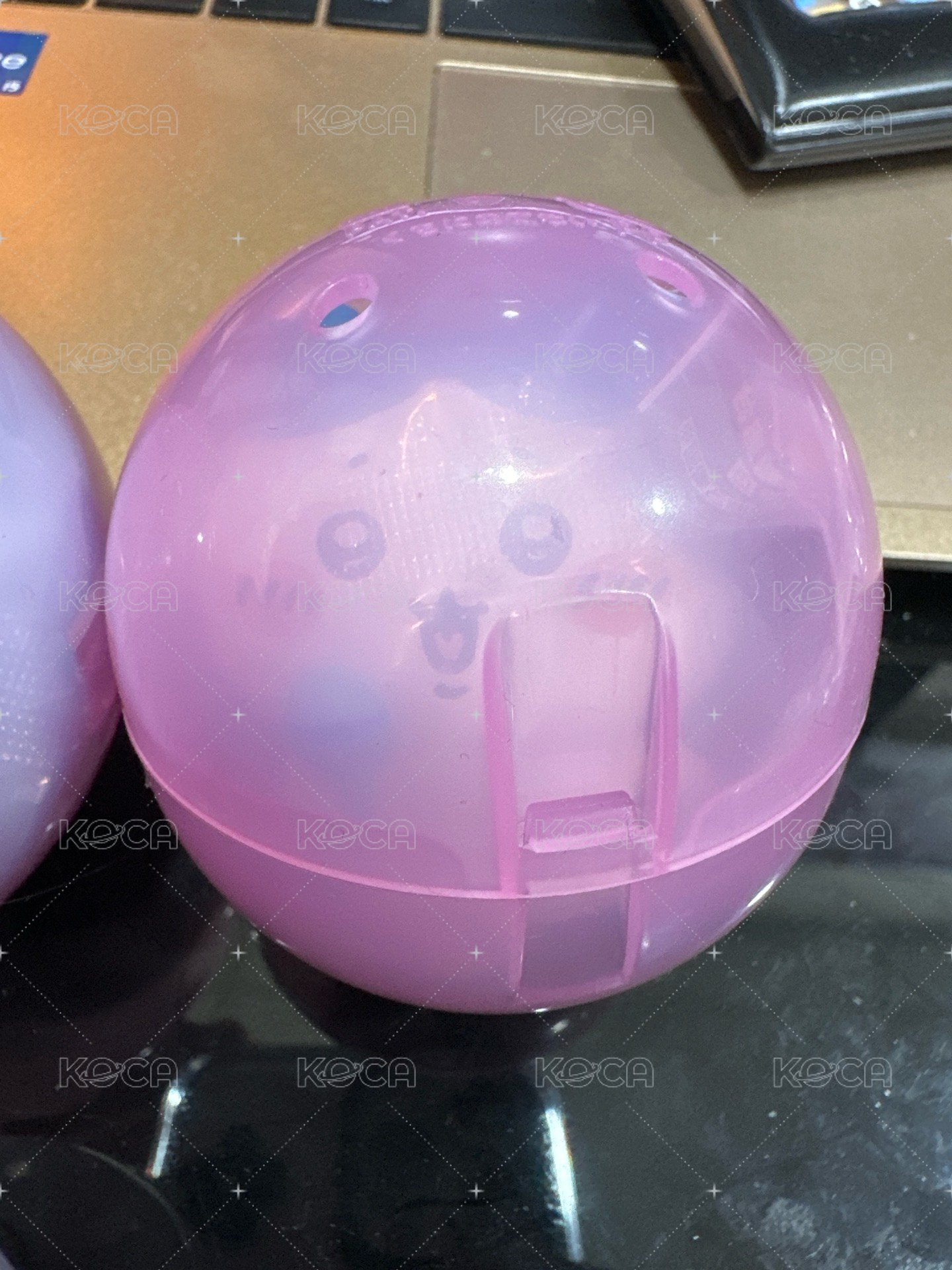 小八貓