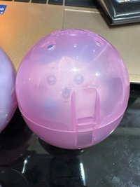小八貓